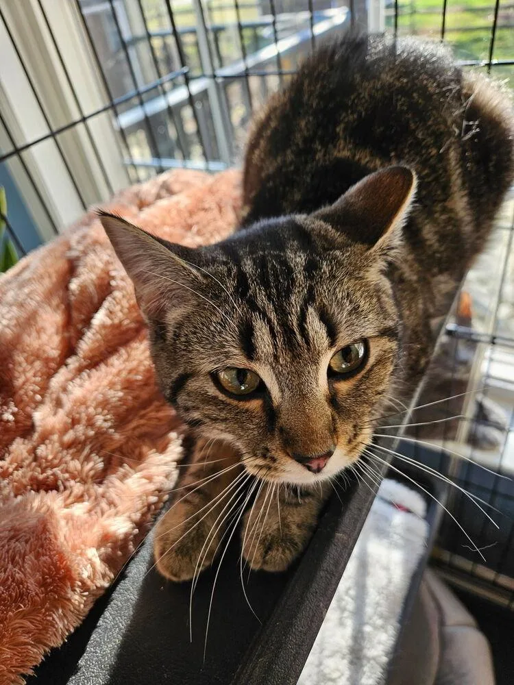 Catherine thumbnail 3