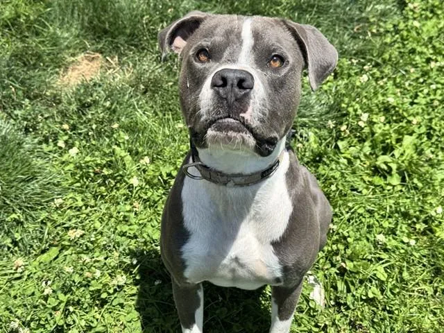 Little Kaos