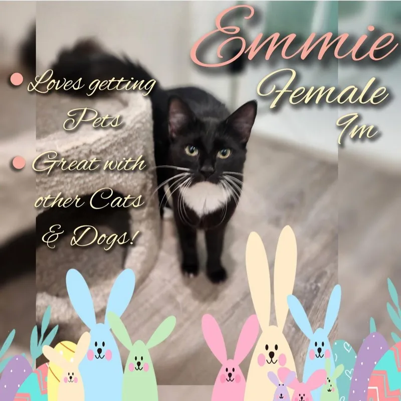 Emmie