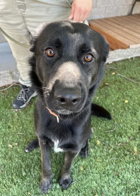 Zeke