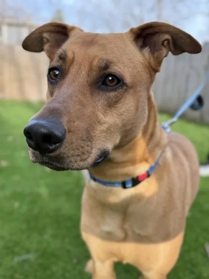 Shakespeare thumbnail 2