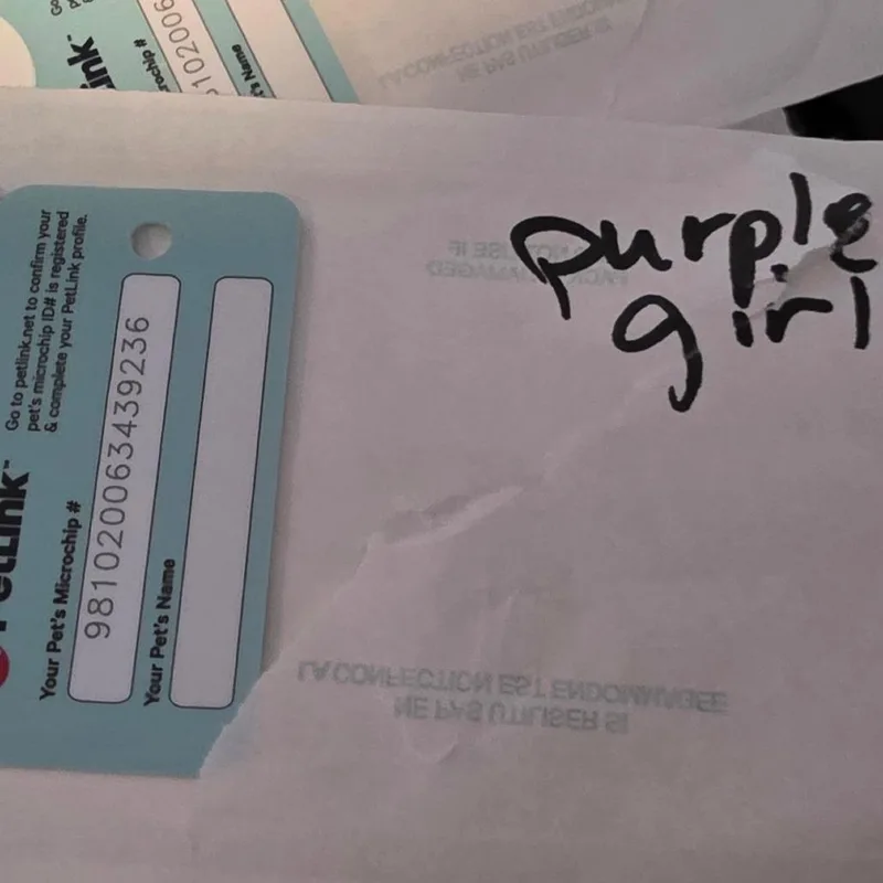 G Purple thumbnail 3