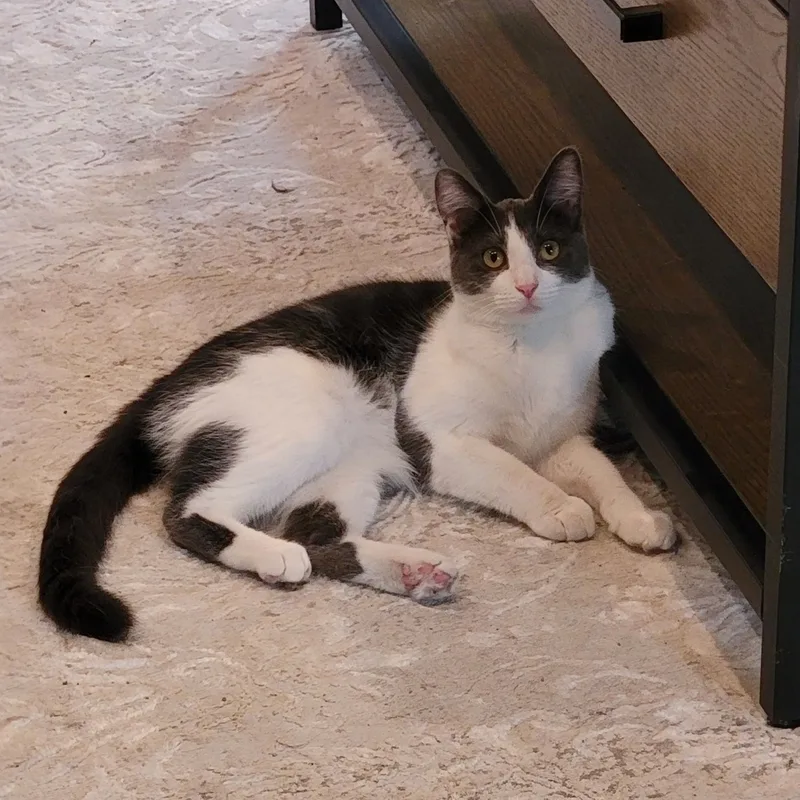 Sevenurgent thumbnail 5