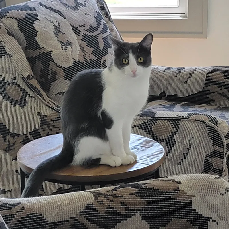 Sevenurgent thumbnail 6