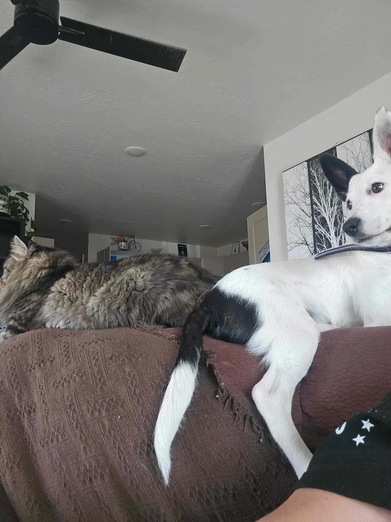 Zoey thumbnail 3