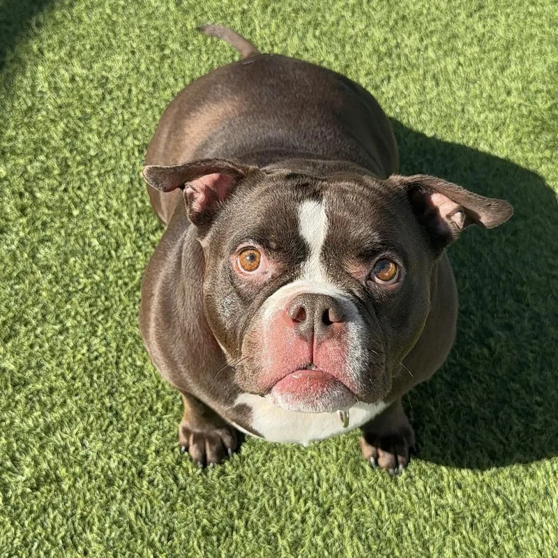 Peaches A thumbnail 2