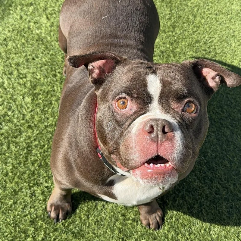 Peaches A thumbnail 5