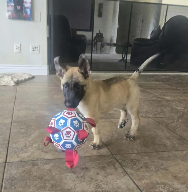 Maverick  Located in thumbnail 5