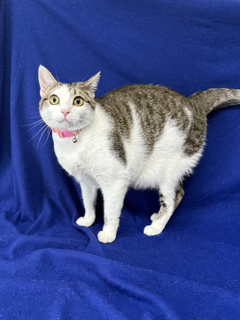 Leia thumbnail 3