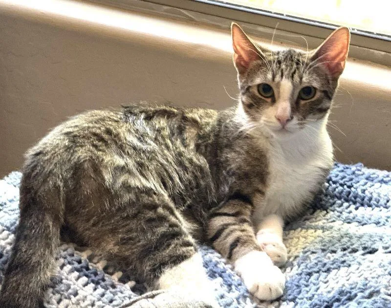 Bobby  Boy  thumbnail 5