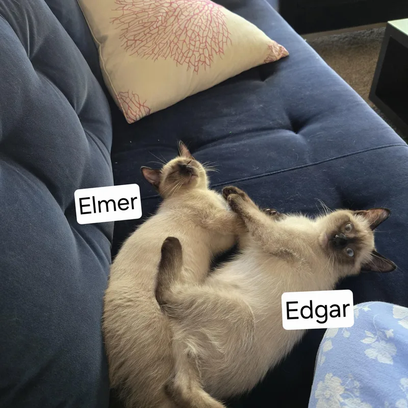 Edgar