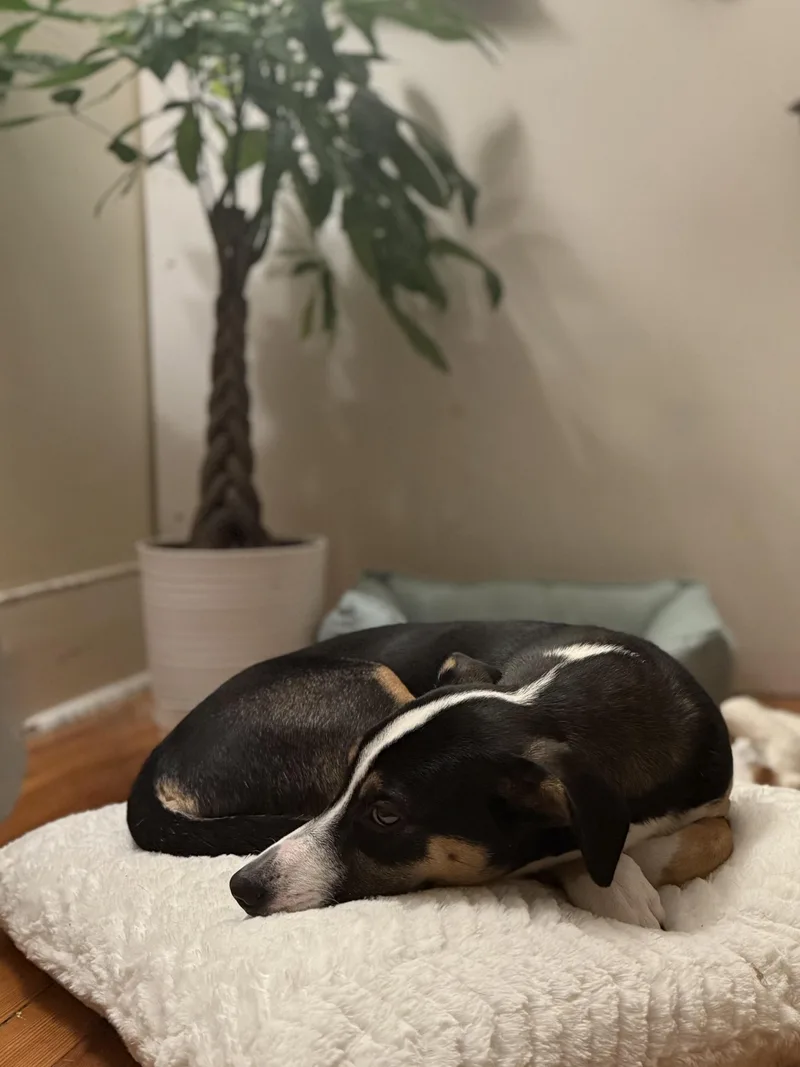 Bon Jovi thumbnail 2