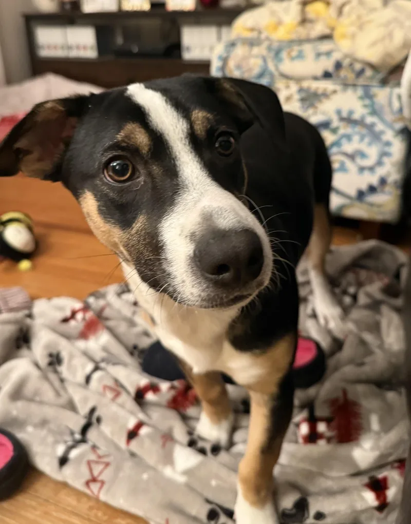 Bon Jovi thumbnail 6