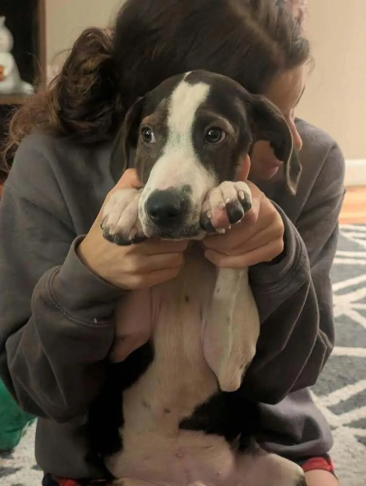 Floyd Rs : Rufus thumbnail 5