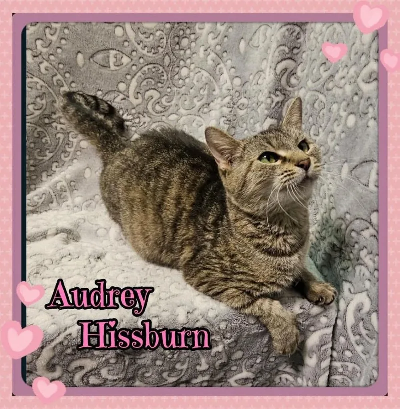 Audrey Hissburn.