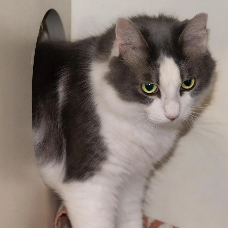 Princess Katie thumbnail 3