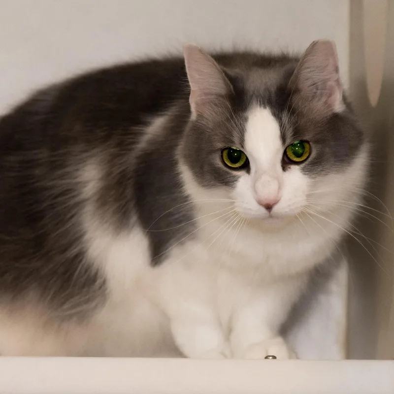 Princess Katie thumbnail 4