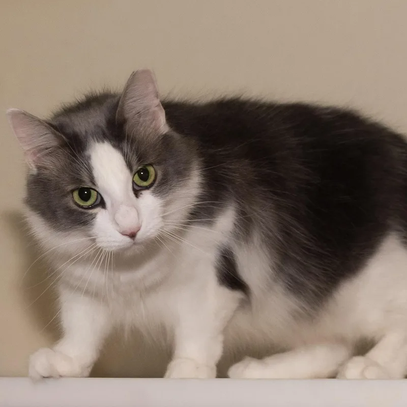 Princess Katie thumbnail 5