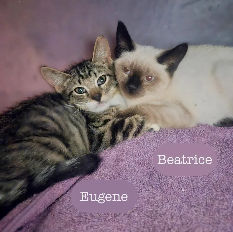Eugene thumbnail 3