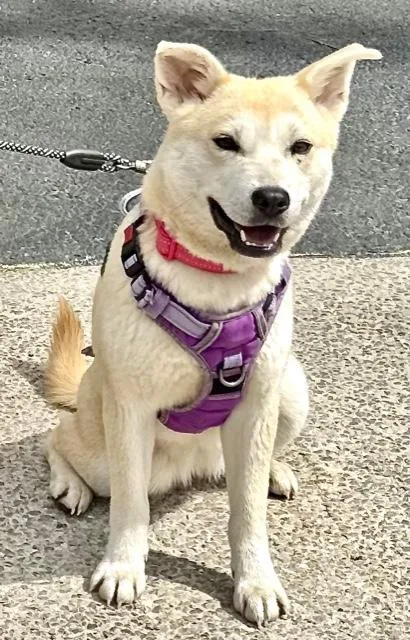 Sienna Artist thumbnail 2