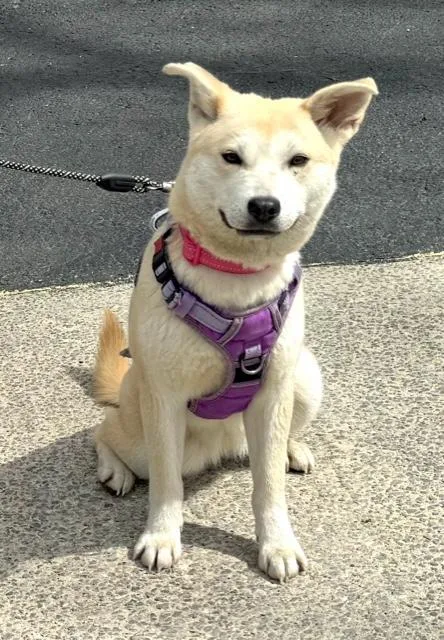 Sienna Artist thumbnail 3