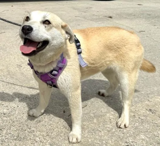 Sienna Artist thumbnail 4