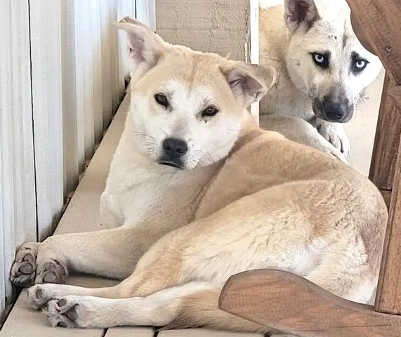 Sienna Artist thumbnail 5