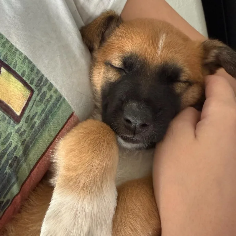 Hamilton thumbnail 2