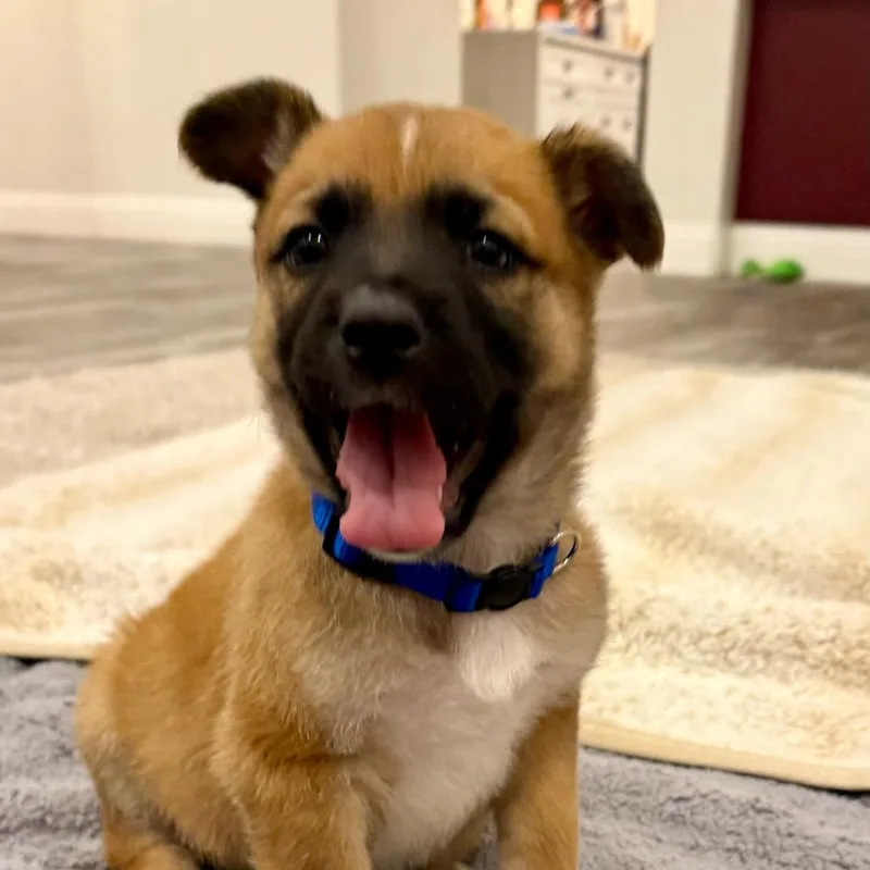 Hamilton thumbnail 3