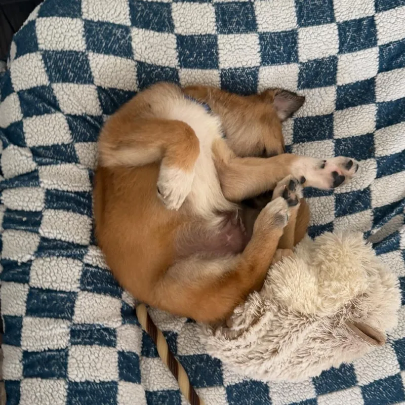 Hamilton thumbnail 5