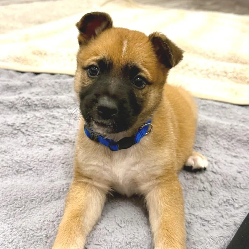 Hamilton thumbnail 6