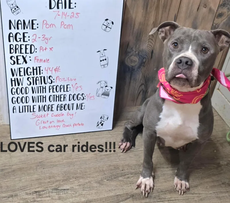 Brinkley thumbnail 2