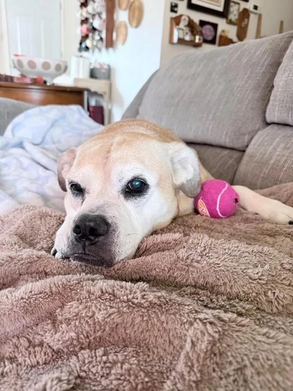 Precious