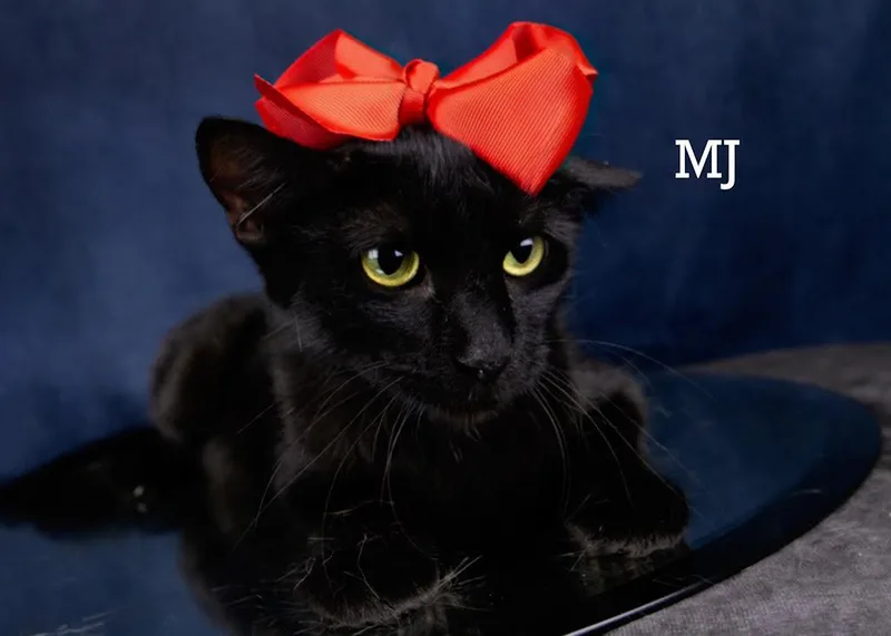 M J thumbnail 2