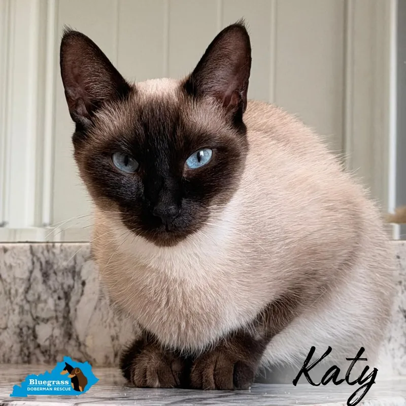 Katy thumbnail 4