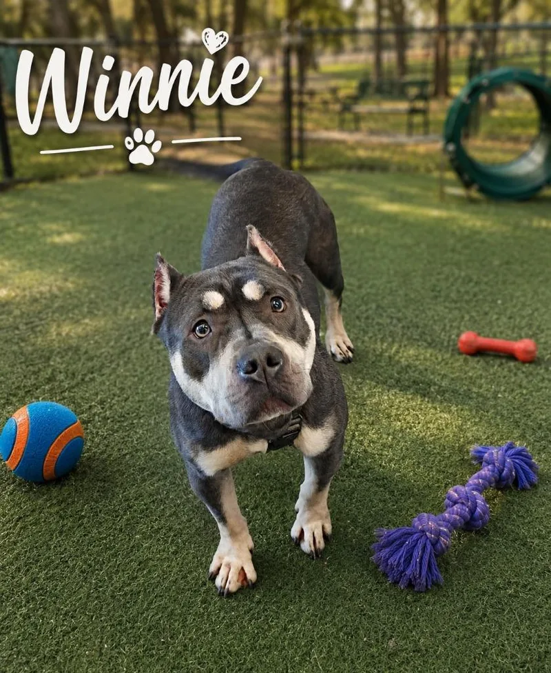 Winnie