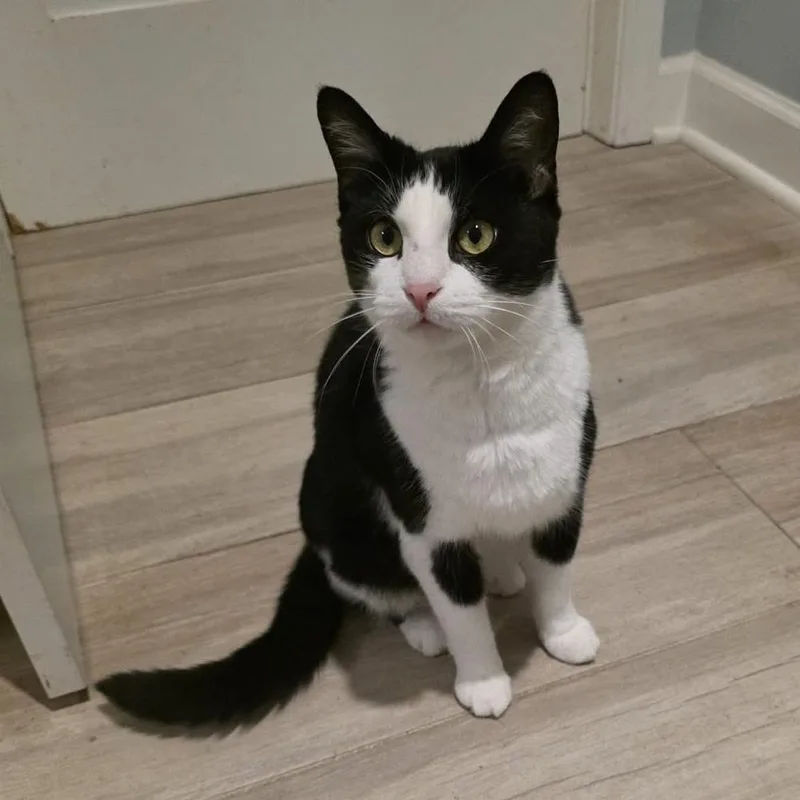 Dance Dance thumbnail 2