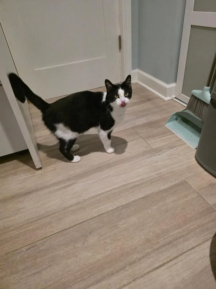 Dance Dance thumbnail 5