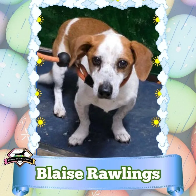 Blaise Rawlings thumbnail 3
