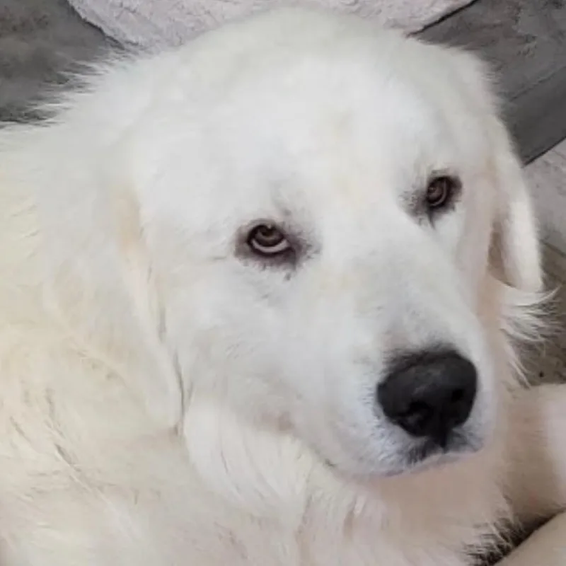 Sammy thumbnail 2