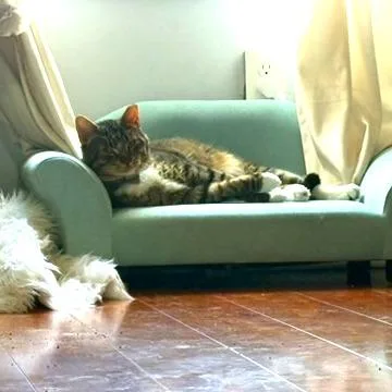 Kirkland Signature thumbnail 4