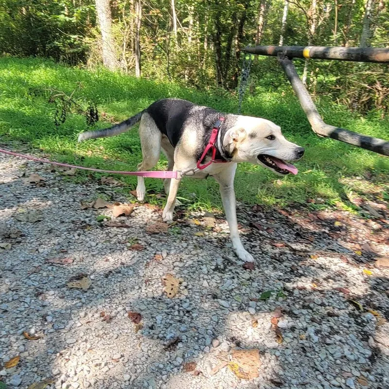 Corrinna thumbnail 2