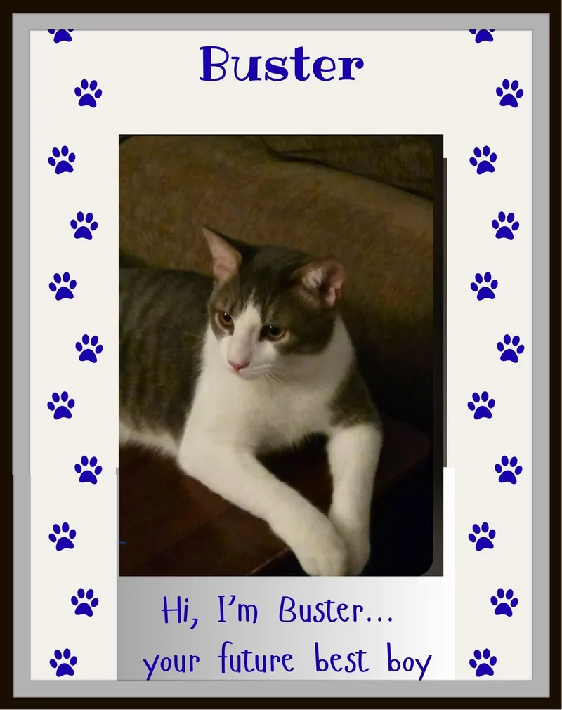 Buster  One gentle thumbnail 2