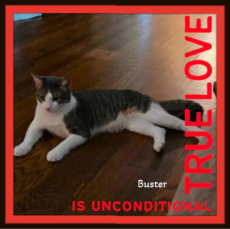 Buster  One gentle thumbnail 3