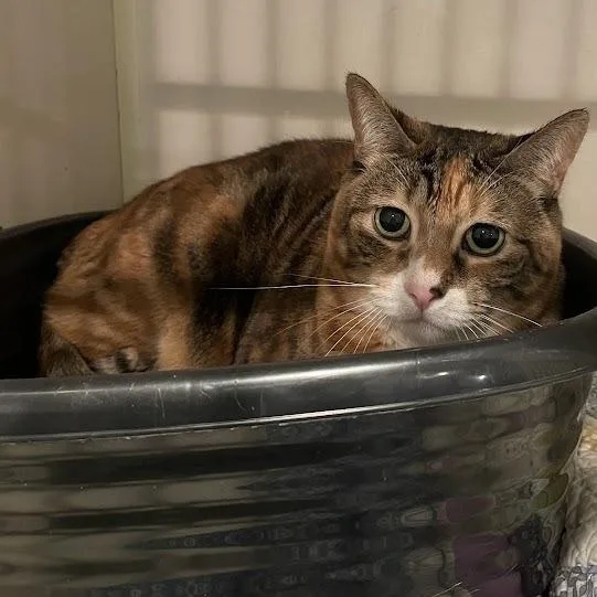 Winnie