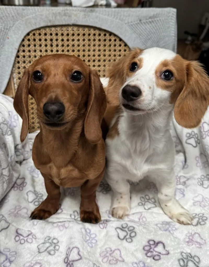 Levi & Maddi thumbnail 2