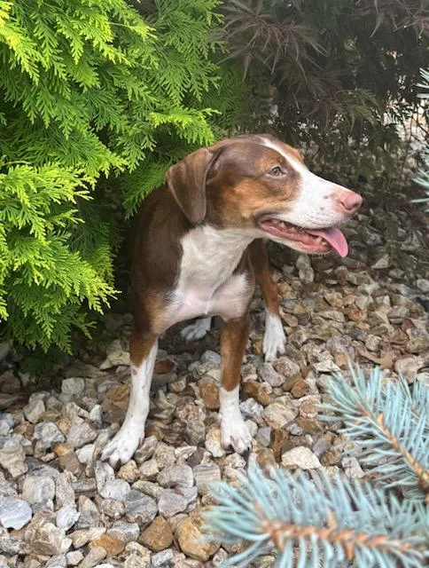 Helen