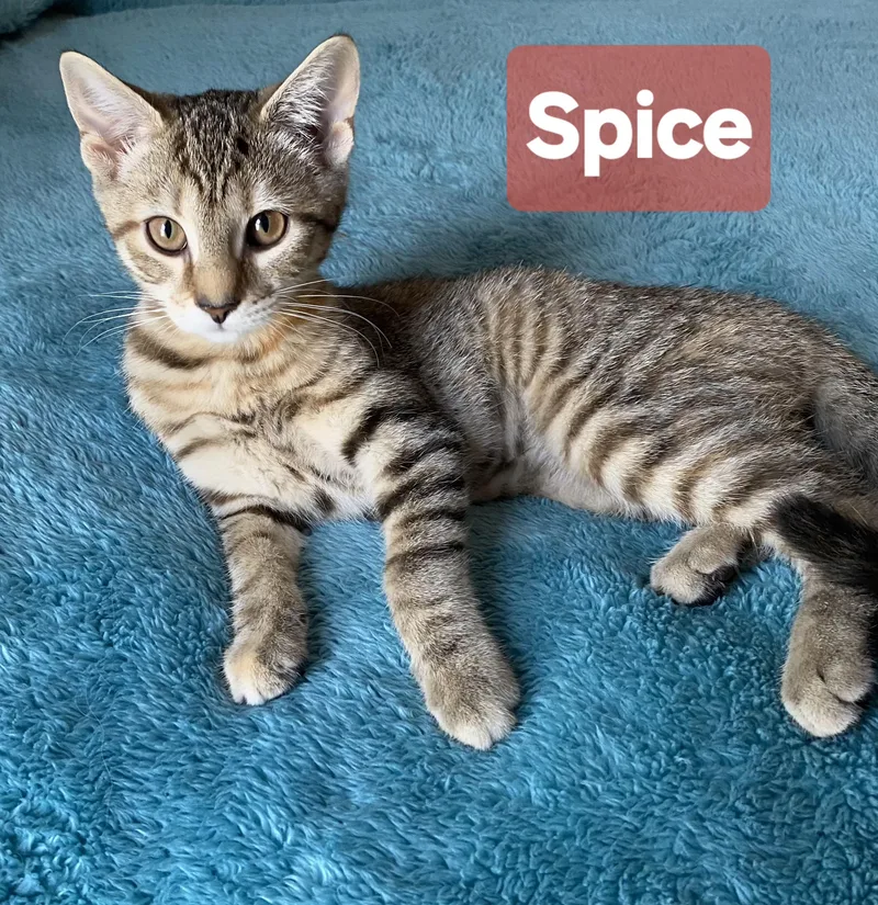 Eddie & Spice thumbnail 2