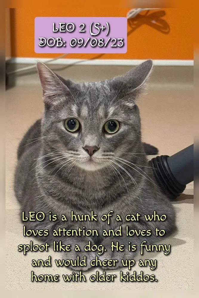 Leo