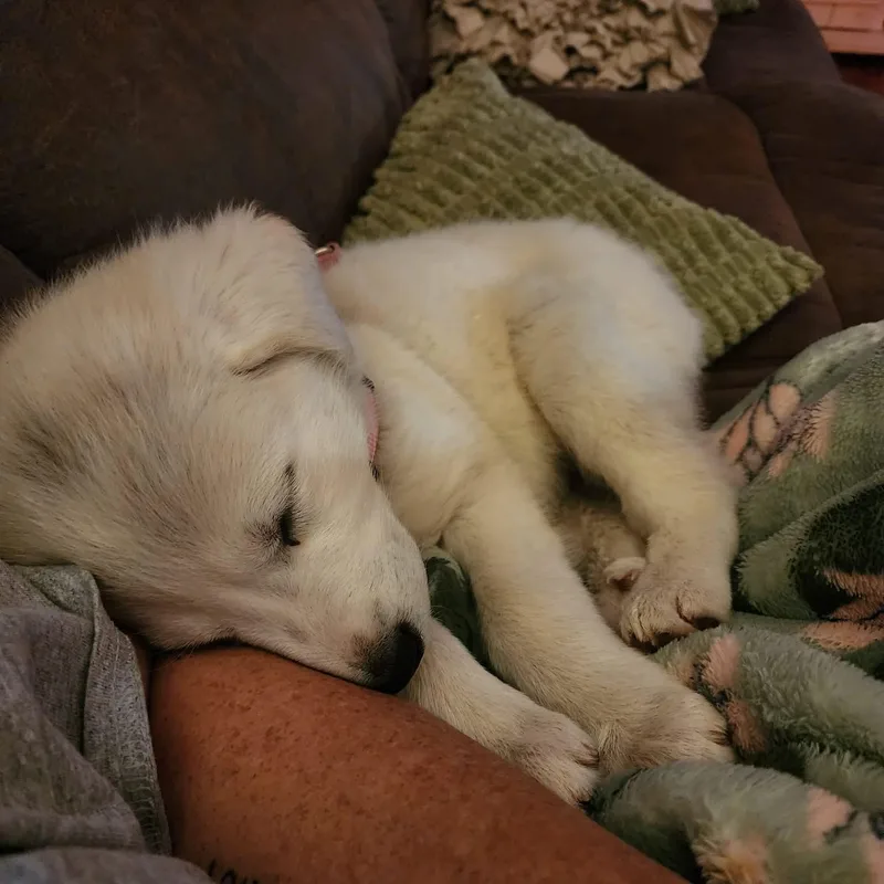 Mabel More Pics Coming! thumbnail 3